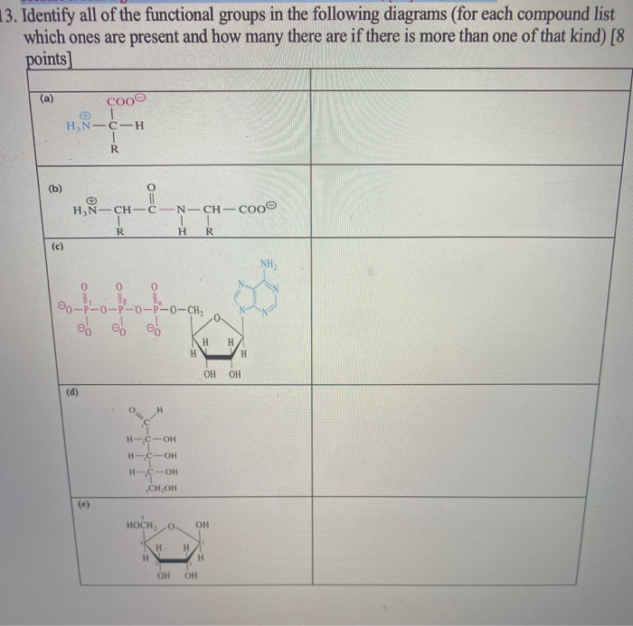 Solved 13. Identify all of the functional groups in the | Chegg.com