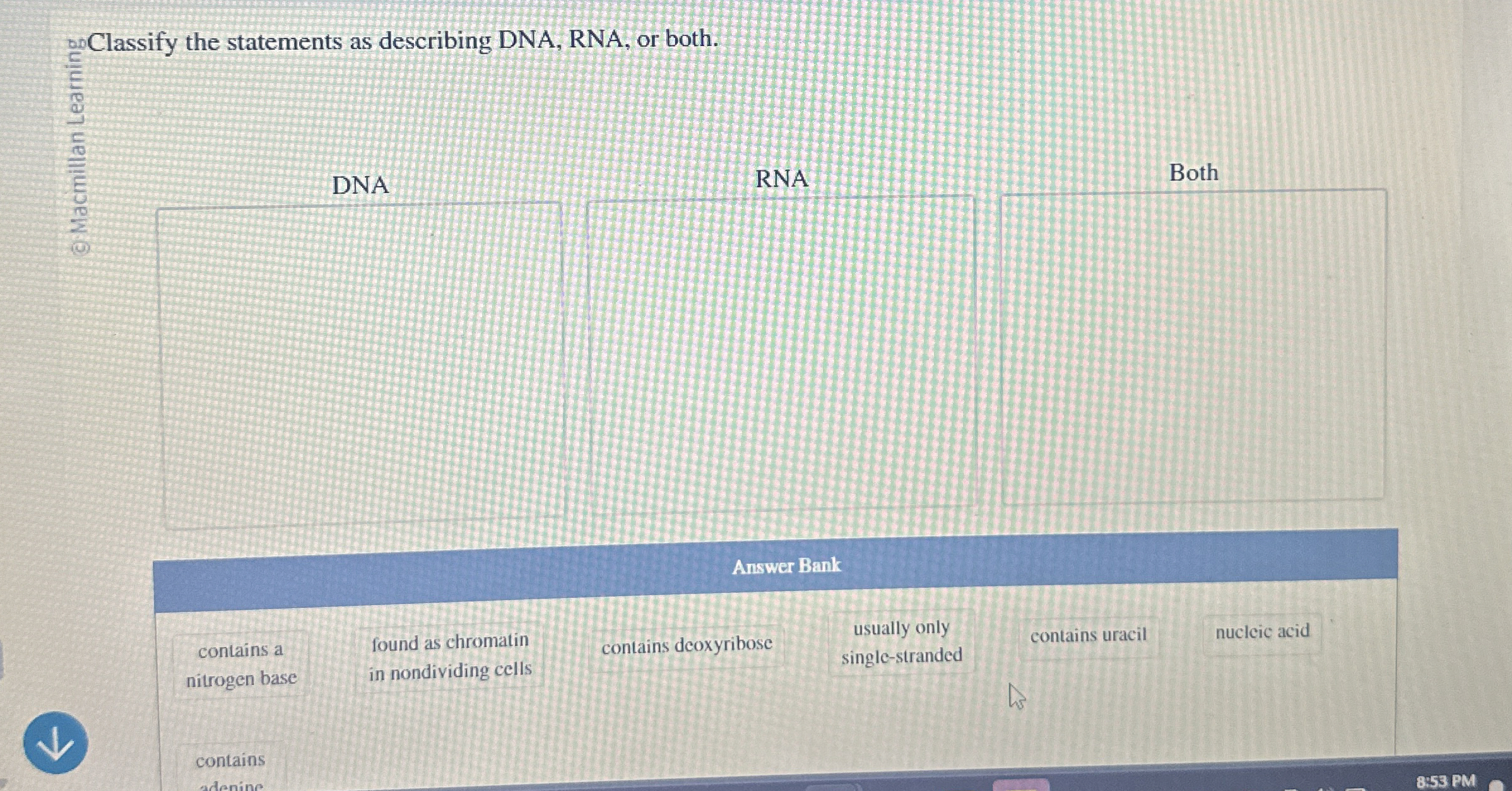 Solved Classify the statements as describing DNA, RNA, or | Chegg.com