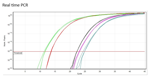 Solved Real time PCR...A: In this real time PCR graph, which | Chegg.com