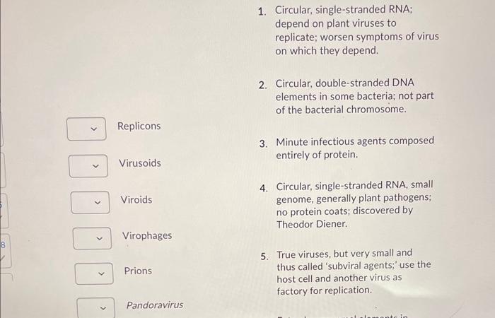 1. Circular, single-stranded RNA; depend on plant viruses to replicate; worsen symptoms of virus on which they depend.
2. Cir