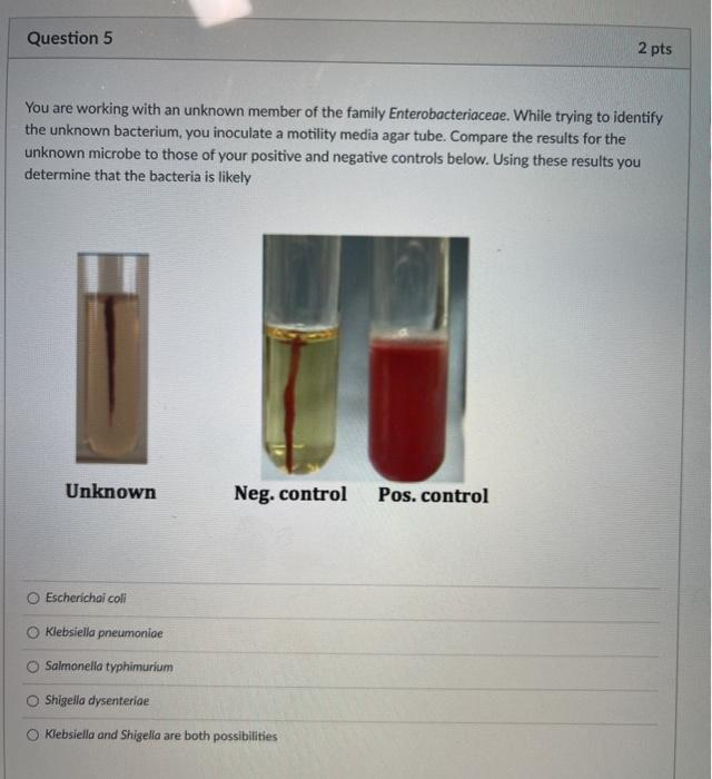 Solved Question 4 2 pts Which of the following is NOT a | Chegg.com