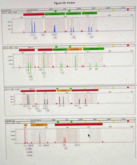 Below are four electropherograms, Figures E1-E4, | Chegg.com