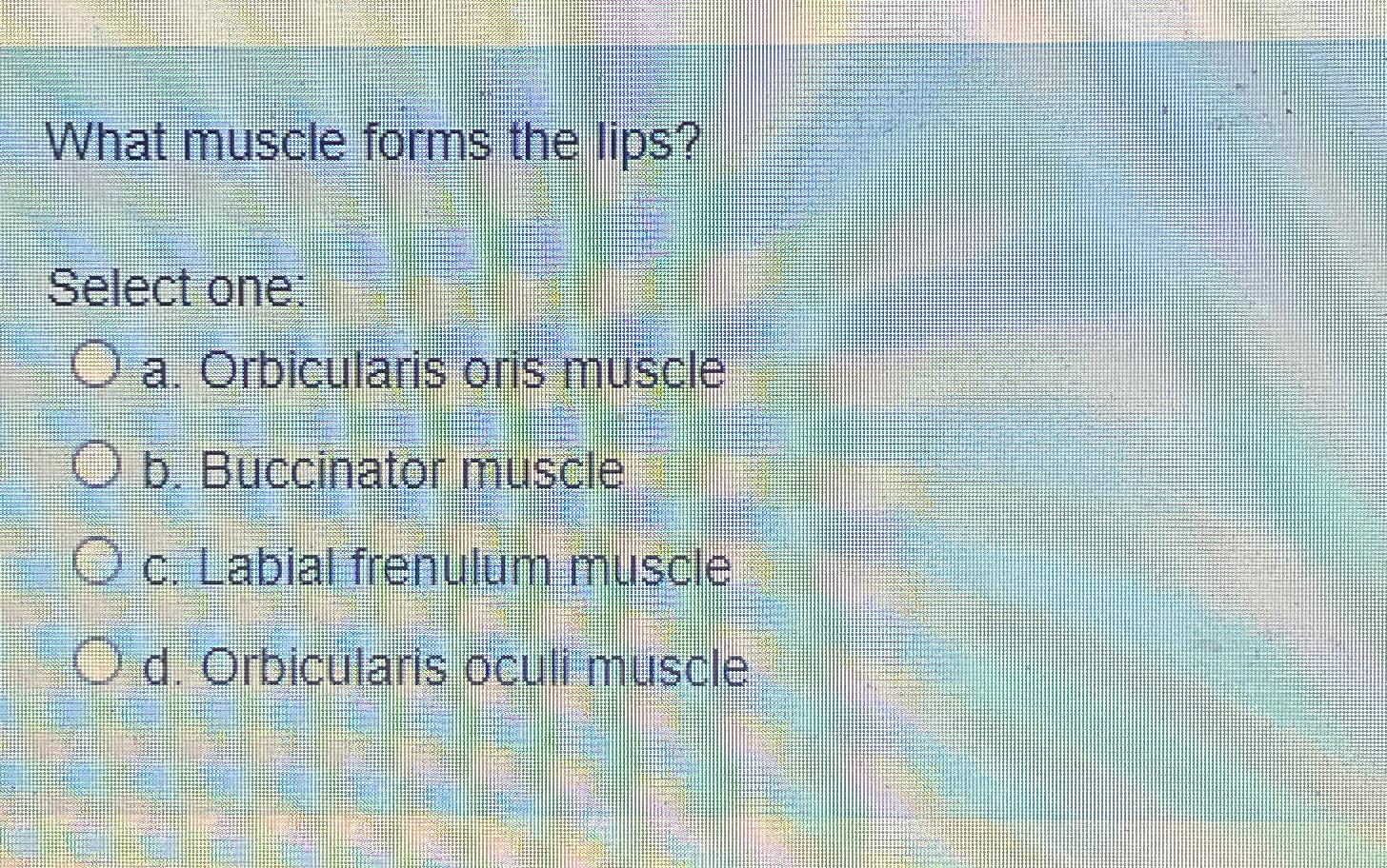 Solved What muscle forms the lips Select one a. Orbicularis