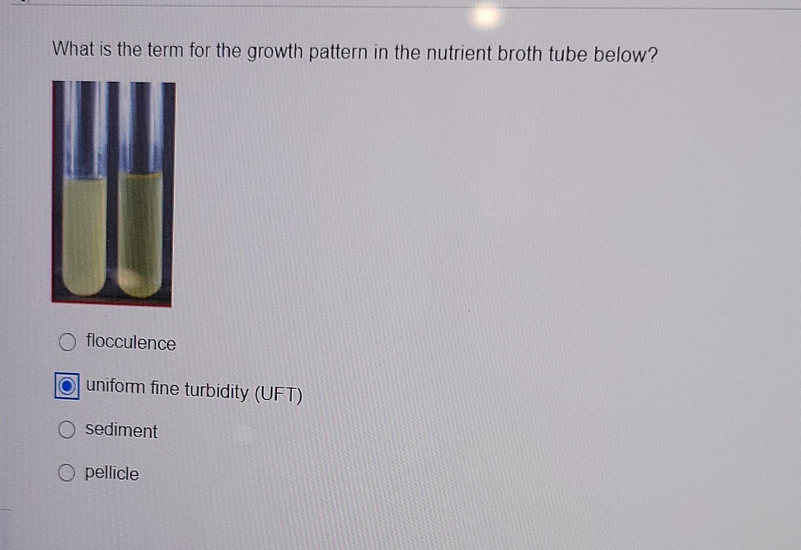 Solved What is the term for the growth pattern in the