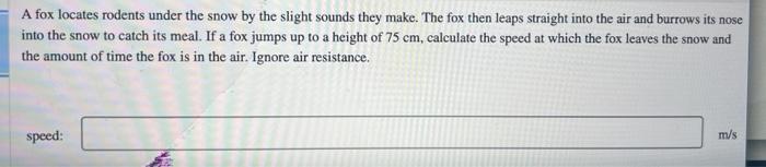 A FOX LOCATES RODENTS UNDER THE SNOW visual data 3