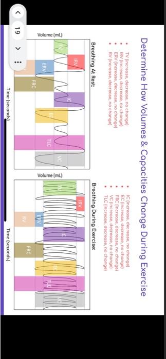 Solved Determine How Volumes \& Capacities Change During | Chegg.com