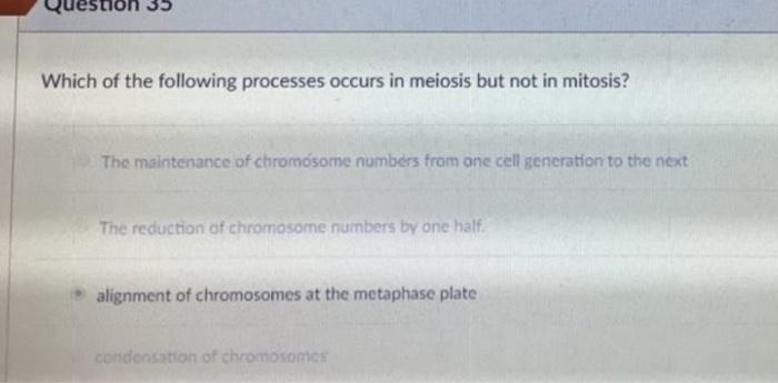 Which Of The Following Processes Occurs During Transcription