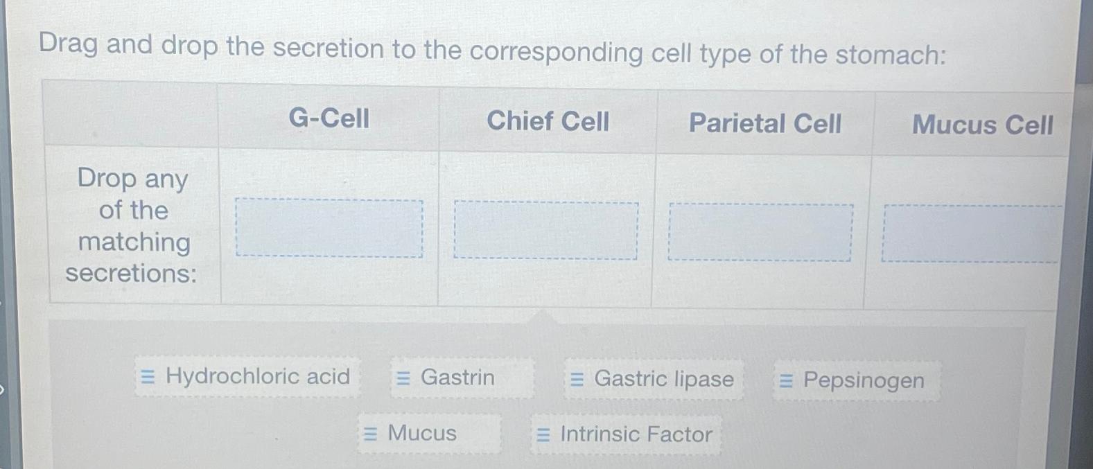 The Stomach S Hidden Power Match The Cell Get The Secretion - 5cmzezl