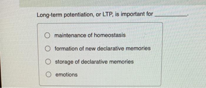 Solved Long-term potentiation, or LTP, is important for | Chegg.com