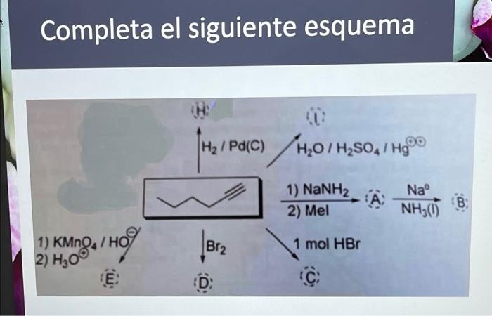 Completa el siguiente esquema Hz/Pd(c) H20/ H2SO4 / Hg 00 1) NaNH2 Naº A B 2) Mel NH30) 1) KMnO, /HO 2) H2O Brz 1 mol HBr D