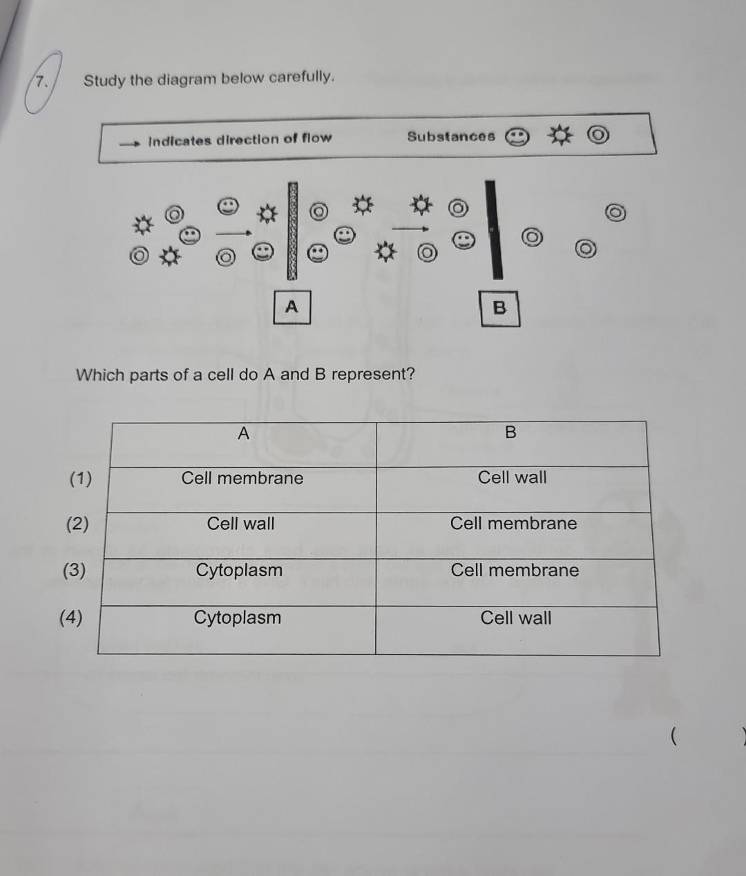 Solved Study the diagram below carefully. Which parts of a | Chegg.com
