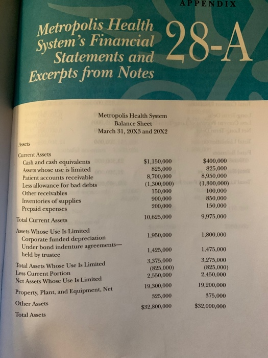 APPENDIX metropolis health systems financial statements and excerpts from notes metropolis health system balance sheet march