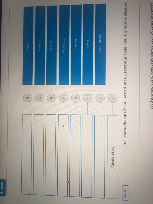 Solved about a question you can always reter back to the | Chegg.com