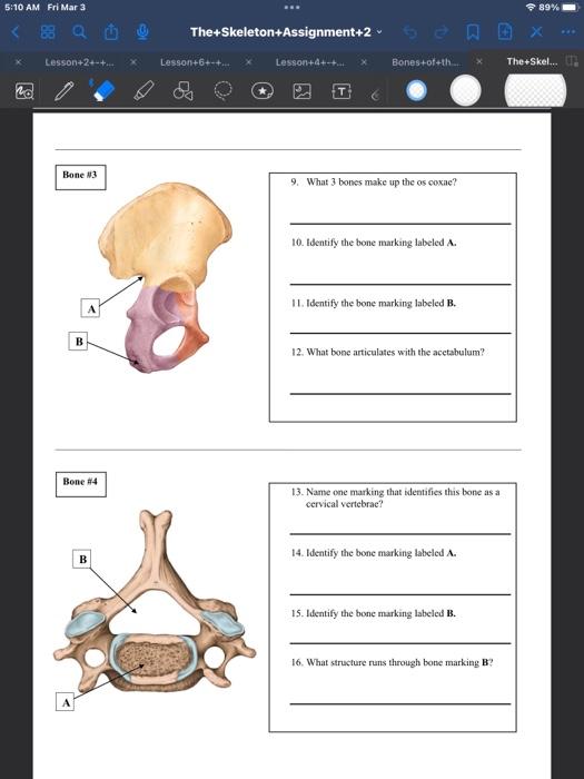Solved Answer the following questions about each bonc. Make | Chegg.com