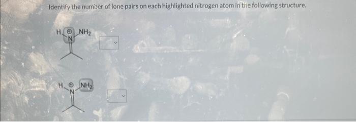 Identify the number of lone pairs on each highlighted nitrogen atom in the following structure.