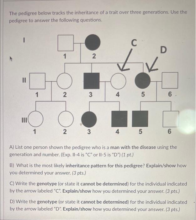 Solved The pedigree below tracks the inheritance of a trait | Chegg.com