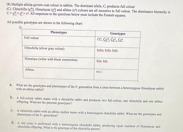 genetics-practice-problems-5-abo-multiple-allele-worksheet-1-answers-free-printable