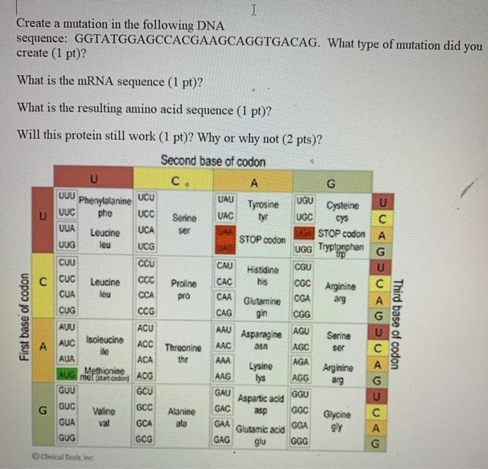 Solved I Create a mutation in the following DNA sequence: | Chegg.com