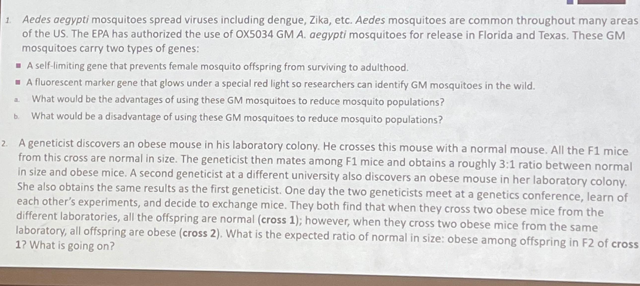 Solved Aedes aegypti mosquitoes spread viruses including | Chegg.com