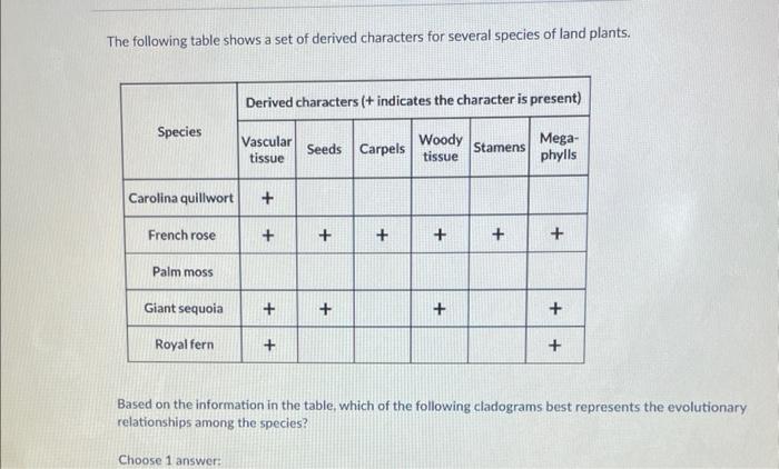 The following table shows a set of derived characters for several species of land plants.
Based on the information in the tab