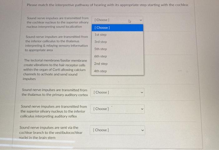 Solved Please match the interpretive pathway of hearing with | Chegg.com