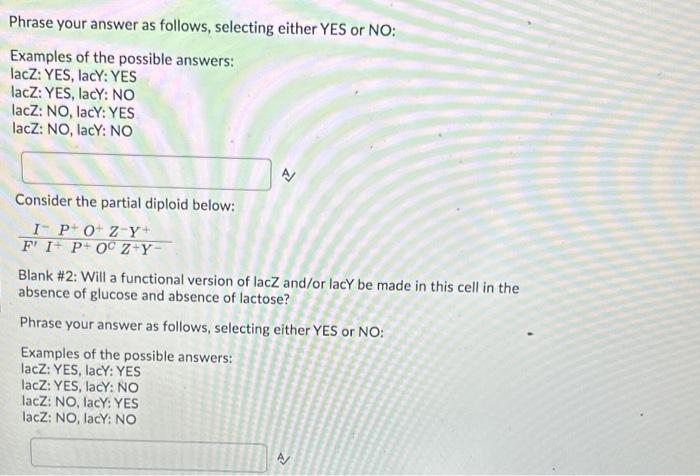 Solved Consider the partial diploid below: | Chegg.com
