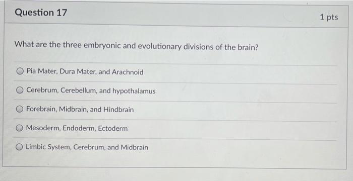 Solved Question 25 1 pts A 