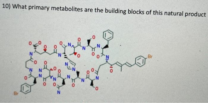 Solved 10) What primary metabolites are the building blocks | Chegg.com