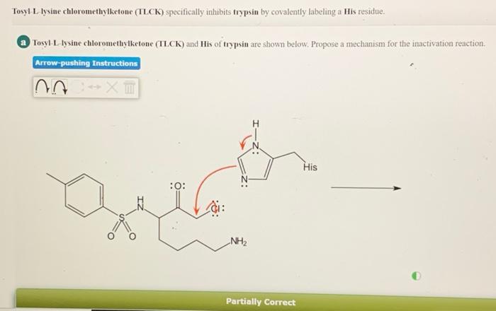 Solved I have attempted multiple times but i keep getting | Chegg.com