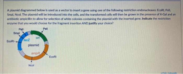 Solved A plasmid diagrammed below is used as a vector to | Chegg.com