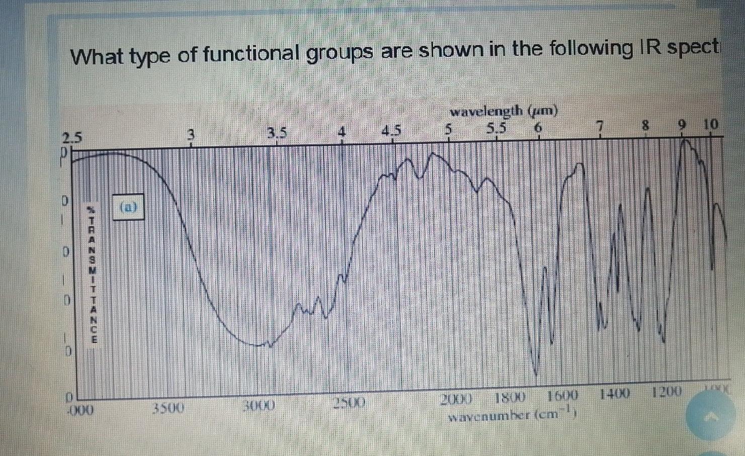 Solved What type of functional groups are shown in the | Chegg.com