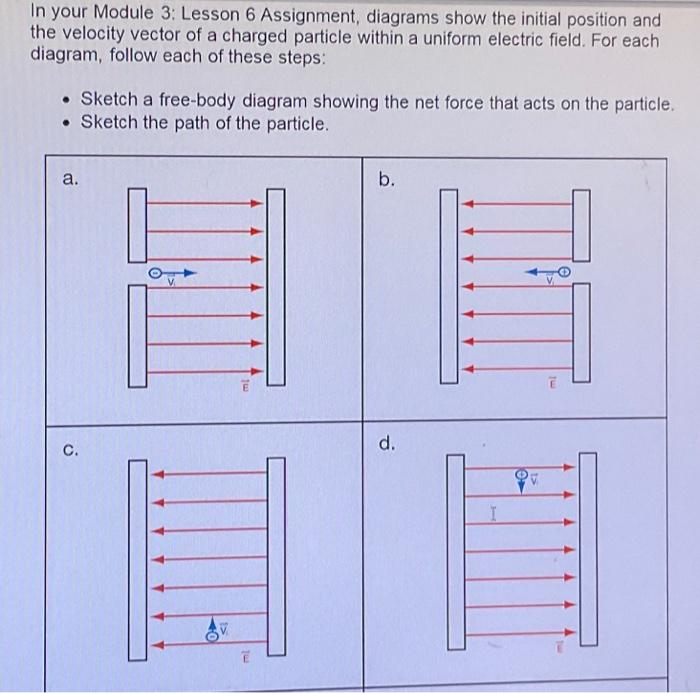 Schematic diagram of the individual particle velocity and position