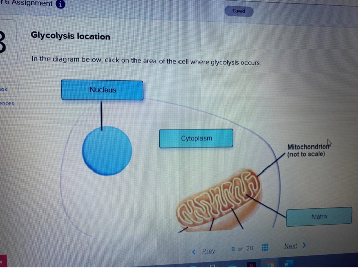 Solved Mb Assignment i Saved Glycolysis location 3 In the | Chegg.com