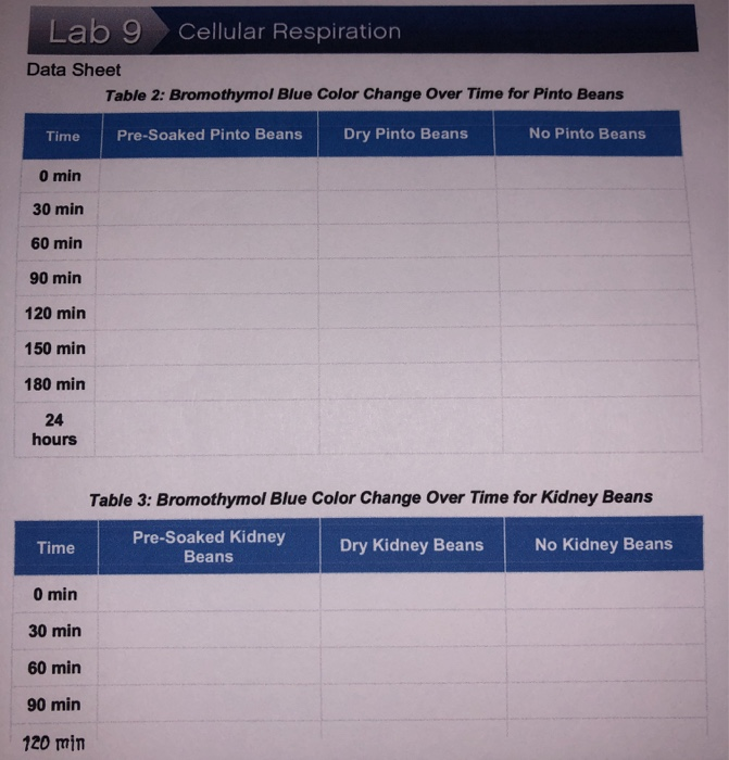 Lab 9 Cellular Respiration Data Sheet Table 2: | Chegg.com