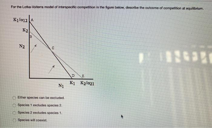 Solved For The Lotka-Volterra Model Of Interspecific | Chegg.com