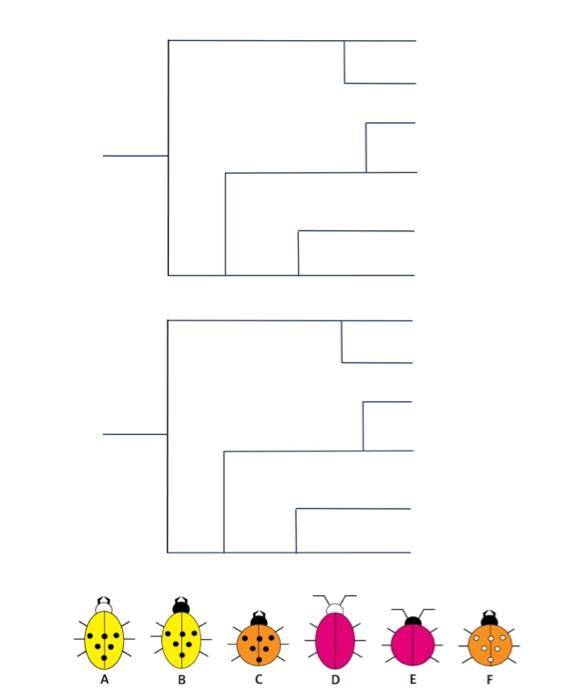 In this exercise, the number of trait differences | Chegg.com