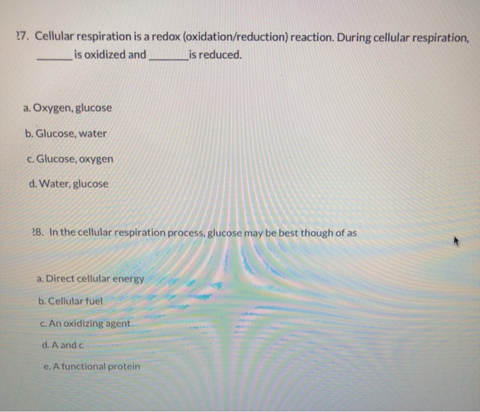 Solved 17. The reactant an enzyme acts upon or changes 18. A | Chegg.com