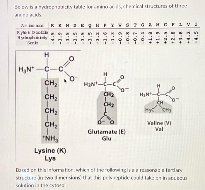 Solved Below is a hydrophobicity table for amino acids,