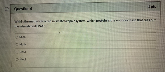 Solved 1 pts Question 6 Within the methyl-directed mismatch | Chegg.com