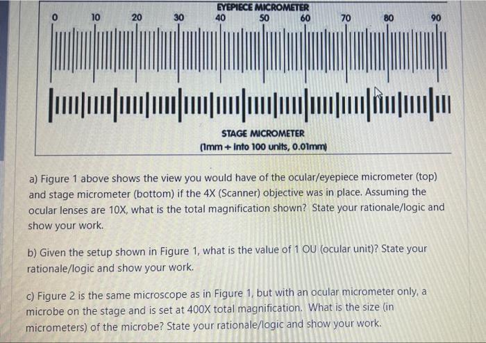 Solved Question 1 a) What is the main difference between | Chegg.com
