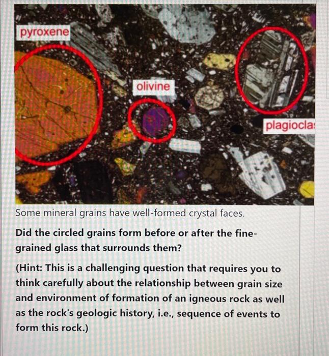 Some mineral grains have well-formed crystal faces.
Did the circled grains form before or after the finegrained glass that su