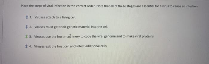 Solved Place the steps of viral infection in the correct | Chegg.com