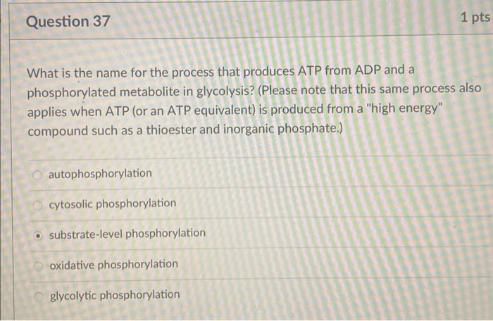 Solved What is the name for the process that produces ATP | Chegg.com