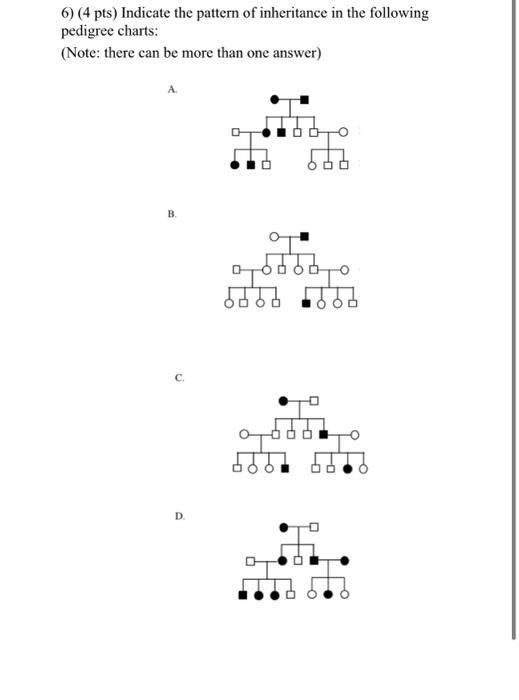 Solved 6) (4 pts) Indicate the pattern of inheritance in the | Chegg.com