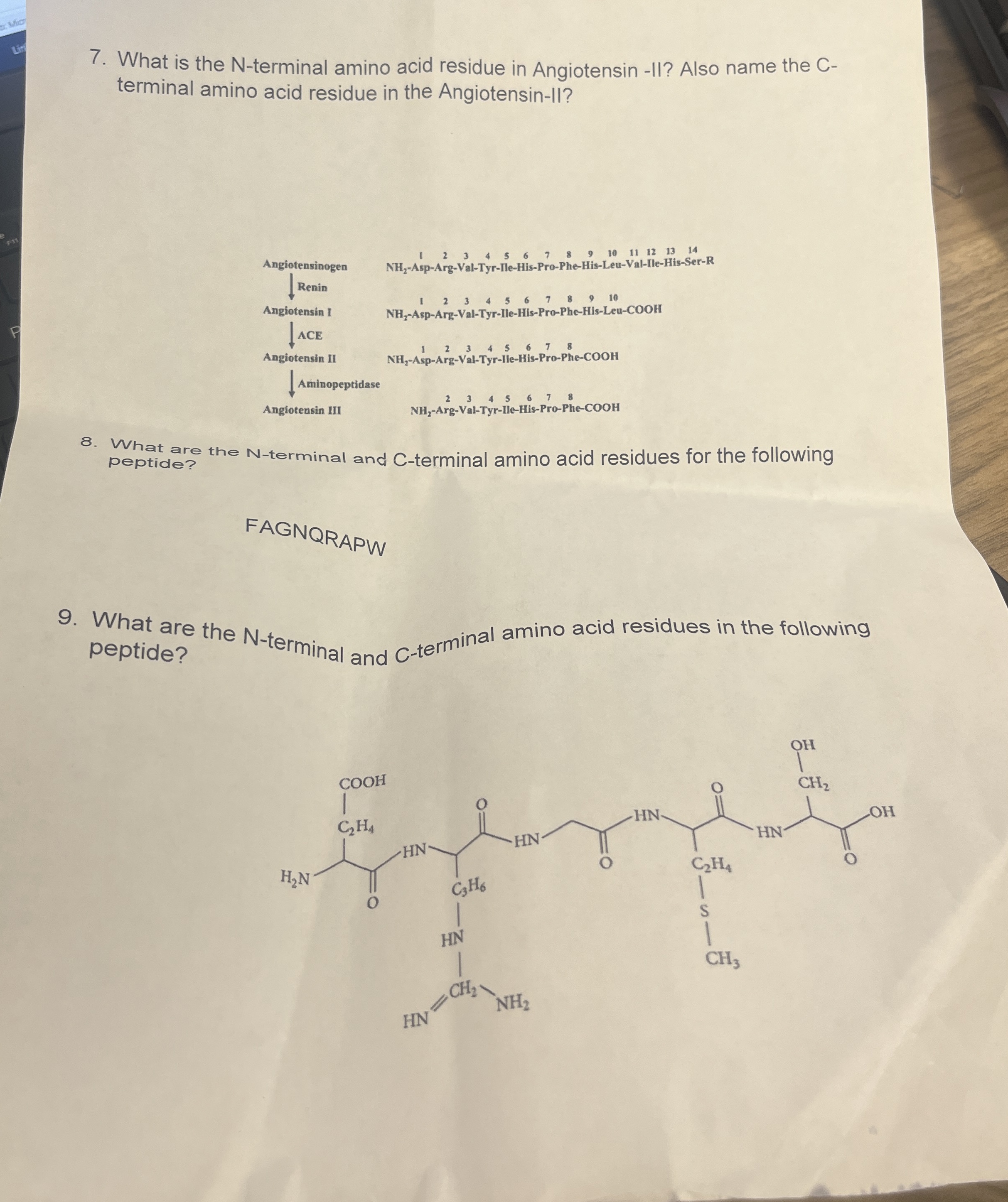 What is the N-terminal amino acid residue in | Chegg.com