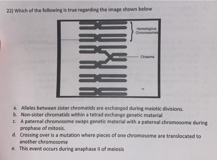 Solved 22) Which of the following is true regarding the | Chegg.com