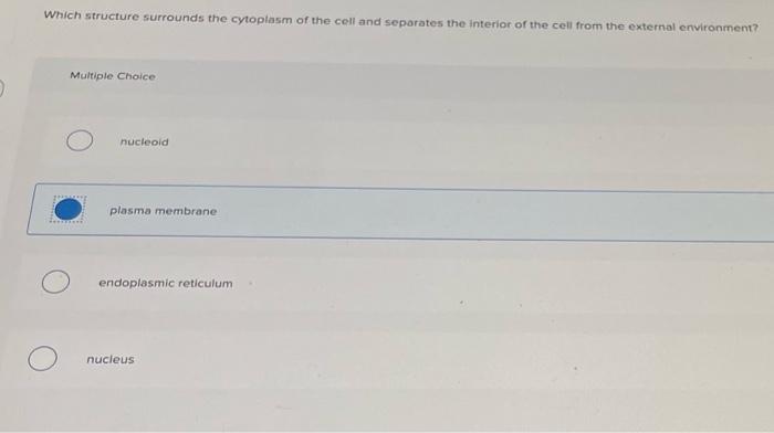 Solved Which structure surrounds the cytoplasm of the cell | Chegg.com