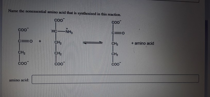 Solved Humans Can Synthesize Nonessential Amino Acids From Chegg Com