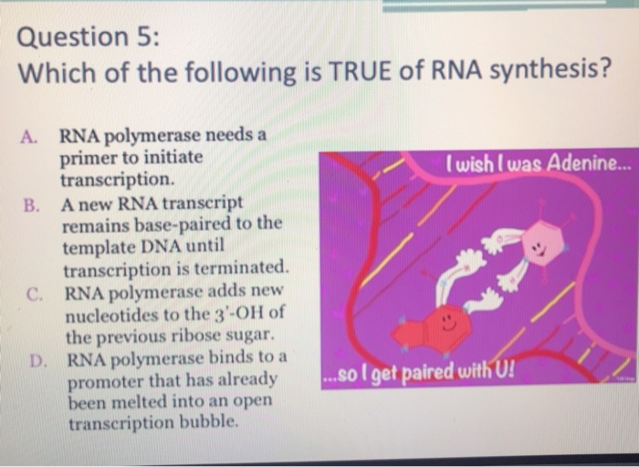 Solved Question 5: Which Of The Following Is True Of Rna | Chegg.com Solved Question 5: Which Of The Following Is True Of Rna | Chegg.com