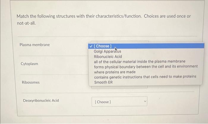 Solved Match the following structures with their | Chegg.com